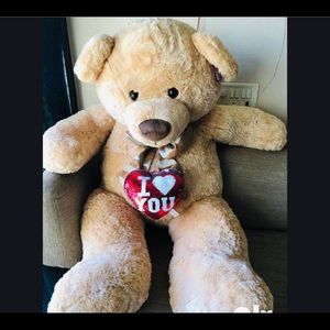 Teddy bear